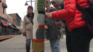 Iowa Intensive English Program's Knitting Club Installs Hand-Knitted Sweater on Tree