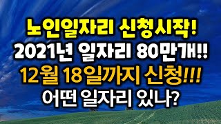 2021년 노인일자리 80만개 일자리 종류 신청기간 자격요건 수당 봉급?