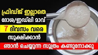 Fridge ഇല്ലാതെ Dosa/Idly മാവ് 7 ദിവസം വരെ സൂക്ഷിക്കാൻ ഞാൻ ചെയ്യുന്ന സൂത്രം കണ്ടുനോക്കു