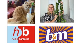 SPEND THE DAY WITH ME / KITTY CAFE / HOME BARGAINS HAUL / B&M HAUL / JACKYLED IVY LIGHTS