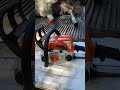 Stihl Ms-170 Chainsaw