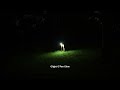 Olight O'Pen Glow: Walk in the dark demonstration!