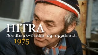 Hitra i Trøndelag 1975. Jordbruk - fiske og lakseoppdrett.