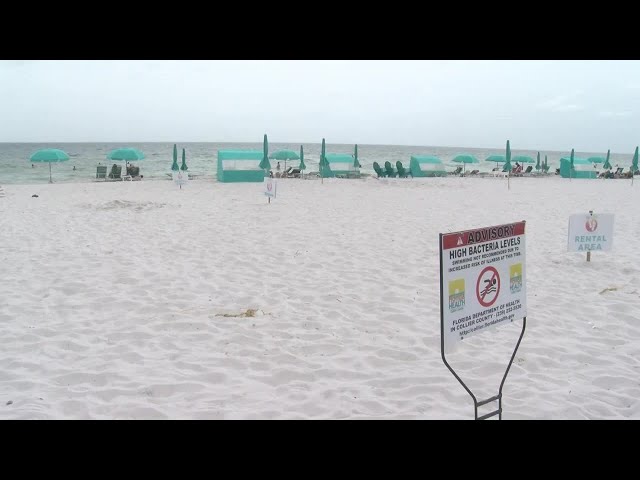 Naples Beach Bacteria