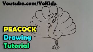 How to draw cartoon peacock for kids easy and simple