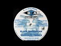 AA1 - Black Revolutian AA2 - Vanguard I'sion II