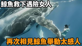 女人遭鯊魚圍困鯨魚將她救下，時隔1年再次相見，鯨魚的舉動太感人#鯊魚 #鯨魚 #救助 #動物 #真實故事 #暖心 #感動 #心靈飼養員