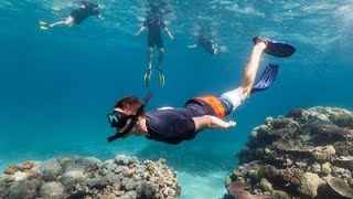 scuba diving|স্নরকেলিং|SNORKeLING|in|Portblair|