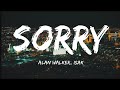 Alan Walker, ISAK - Sorry (lyrics/مترجمة)