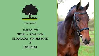 11. Emilio TN (Eldorado van de Zeshoek x Diarado)