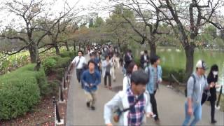 止まぬポケモンGo熱気 上野・不忍池。 Waves of Pokemon Go players in Tokyo