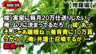 嫁「実家に毎月20万仕送りしたい」俺「ムリに決まってるだろ！」嫁「あっそ。じゃあ離婚ね＾＾養育費に10万貰うから！」俺（弁護士召喚するか）→結果・・・【AKITA 2ch】