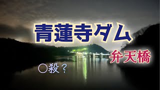 青蓮寺ダム＆弁天橋（三重県名張市）【心霊スポット散歩検証生配信】　　#心霊　#肝試し