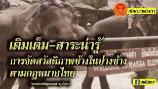 รายการทันข่าววุฒิสภา เติมเต็ม-สาระน่ารู้ \