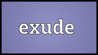 Exude Meaning