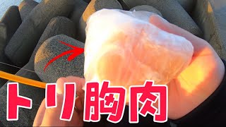 【穴釣り】胸肉で穴釣りしたらバケモノ釣れた！　　　　　#穴釣り#鶏胸肉 #ブラクリ