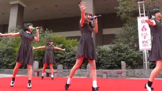 豊田ご当地アイドルStar☆T「ハイブリッドガール」（1曲目）2015/3/29 春学祭