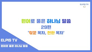 원어로 풀은 하나님 말씀 29편 '삯꾼 목자, 선한목자' | 대구 찬양 교회 | 이상철 목사 | 오전 | 2019-12-01