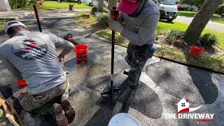 Tree Root Bumps and Cracks Repaired from an Asphalt Driveway