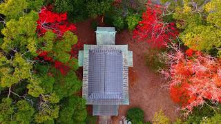 高塚神社　2024年12月