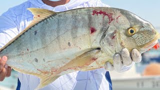 JIGGING | SIILVER RED HEAD | പാവം പ്രശാന്ത് ക്ഷീണിച്ചു പോയി | GOLDEN TREVALLY | GT | BOATFISHING| 4K