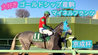 ゴールドシップ産駒　マイネルフランツ　リラックスしながら本馬場に向かう様子　京成杯