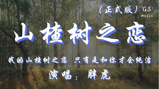 胖虎 - 山楂树之恋 (正式版)「我的山楂树之恋 只有是和你才会纯洁」【动态歌词】