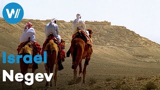 Desert Towns of the Negev - On the Incense Route of the Nabateans, Israel | Treasures of the World