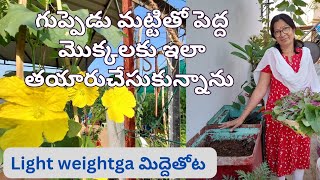 తక్కువ మట్టితో పెద్ద కంటైనర్లు ఇలా నింపుకోవాలి #gardening #harvest #containergardening