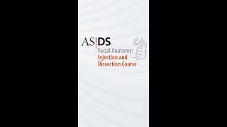 Attend the 2022 ASDS Facial Anatomy: Injection and Dissection Course