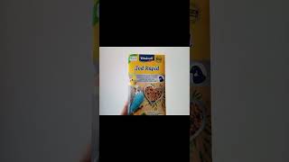 #wellensittich #budgie #snacks #budgiesfeeding #vitakraft #budgielove  #coconut #shortvideo #shorts