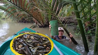 Người Tính Không Bằng Trời Tính Đành Phải Dầm Mình Xuống Nước Để Tìm Những Con Đặc Sản | TTVlog