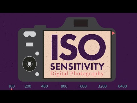 What does the ISO camera sensitivity setting measure?