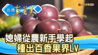 甜在心底“黃金百香果”｜人氣百香果｜【台灣真善美】2022.10.23