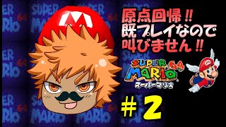 【＃２】雪山とテレサ、時々クッパ【スーパーマリオ64】