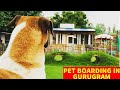 PET FRIENDLY FINE DINE IN GURGAON.