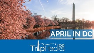 Tips for Visiting Washington DC in April