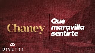 Que Maravilla Sentirte - Conjunto Chaney \u0026 Eddie Santiago | Salsa Romántica