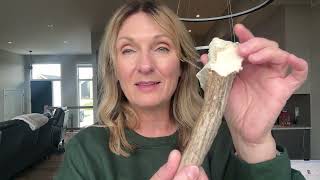 A Good Bone Alternative For Your Dog/Elk Antlers