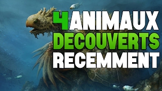 4 Animaux DÉCOUVERTS récemment