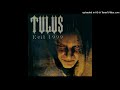 tulus ‎– evil 1999