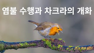 차크라에서 꽃이 피게 하는 염불비법