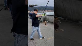 Dungeness Crab Pier Fishing #fishing #crab #crabbing #bayarea #california #fishingvideo #fishingtime