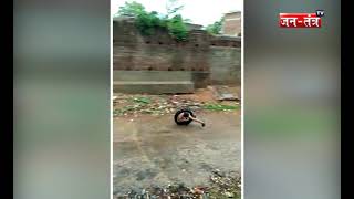 Children In Rain | बारिश में खेलते बच्चों का वायरल वीडियो | Social Media | Viral Videos