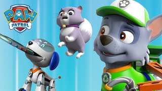 灰灰和機器狗阻止了一個失控的玩具機器人！- PAW Patrol 汪汪隊立大功 - 兒童卡通