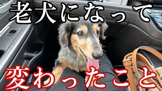 ［17才］老犬になって変わったこと10選