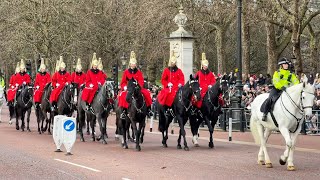 Live: CHANGING OF THE KING's GUARDS BUCKINGHAM PALACE