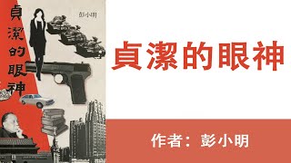 贞洁的眼神👀(27)痴大弟躲藏亡命读名著📖智姐夫背诵名言除险情(A)看洋书引起的一场风波；作者：彭小明；播讲：夏秋年