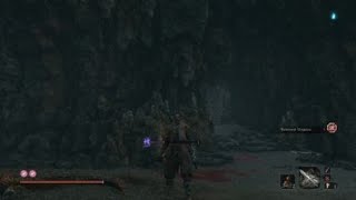 Sekiro - Beating Duo Guardian Apes