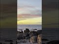 17 mile drive travel youtubeshorts beach california travelandtransform ytshorts